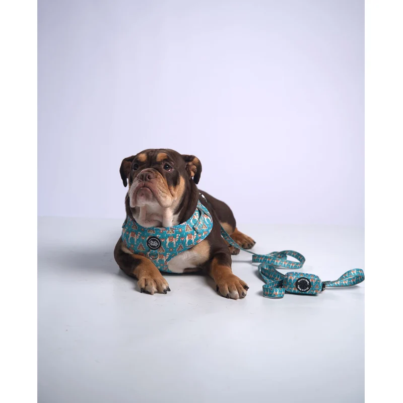 Bud & Billy Dog Harness Adjustable (XXS-XL) - Breathable Vest, Dunes Oasis Collection, Vibrant Blue