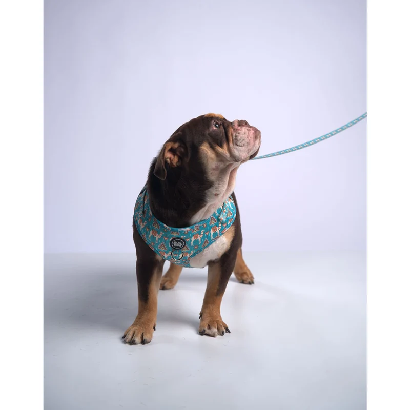 Bud & Billy Dog Harness Adjustable (XXS-XL) - Breathable Vest, Dunes Oasis Collection, Vibrant Blue