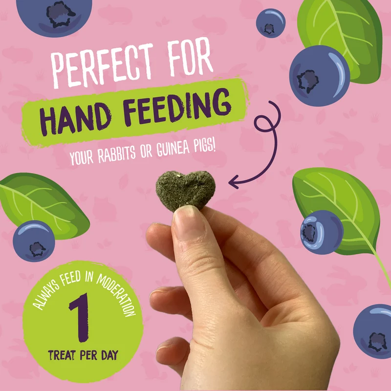 Burgess Excel Sunshine Snacks For Small Pets 60g