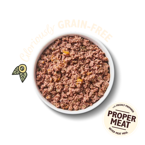 Lily's Kitchen Coronation Chicken Wet Dog Food