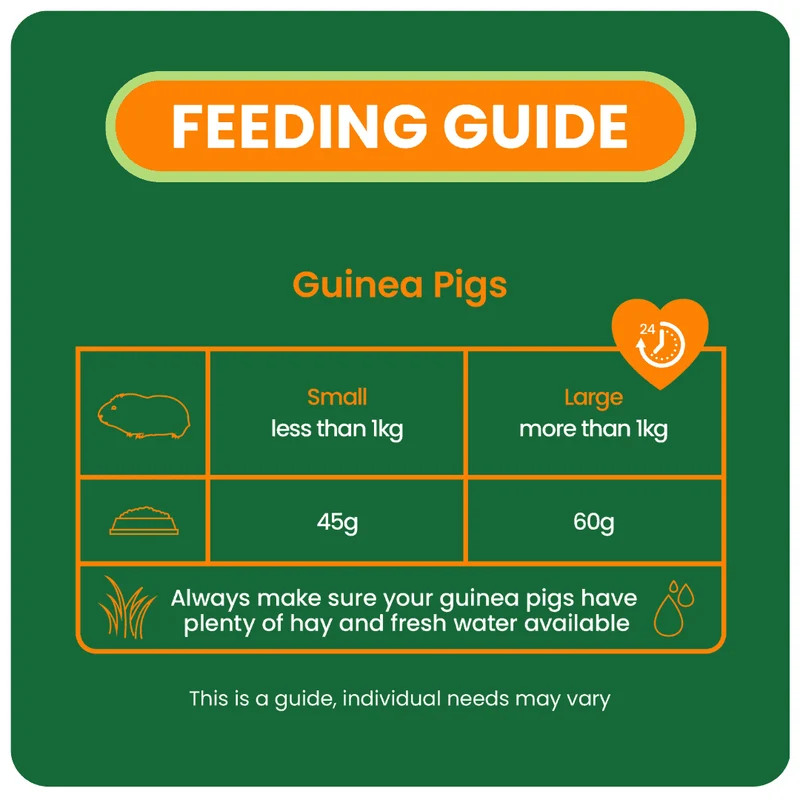 Burgess Excel Nuggets With Mint For Adult Guinea Pig 3KG
