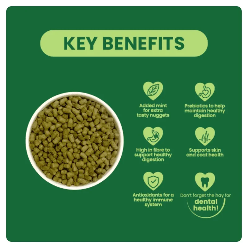 Burgess Excel Nuggets With Mint For Adult Rabbit 1.5KG
