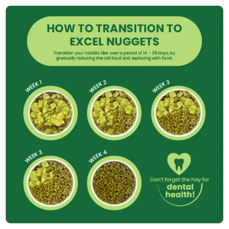 Burgess Excel Nuggets With Mint For Adult Rabbit 1.5KG