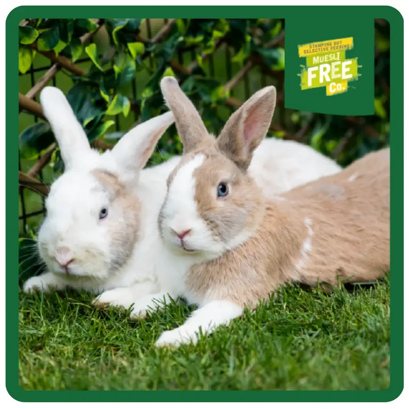 Burgess Excel Nuggets With Mint For Adult Rabbit 1.5KG