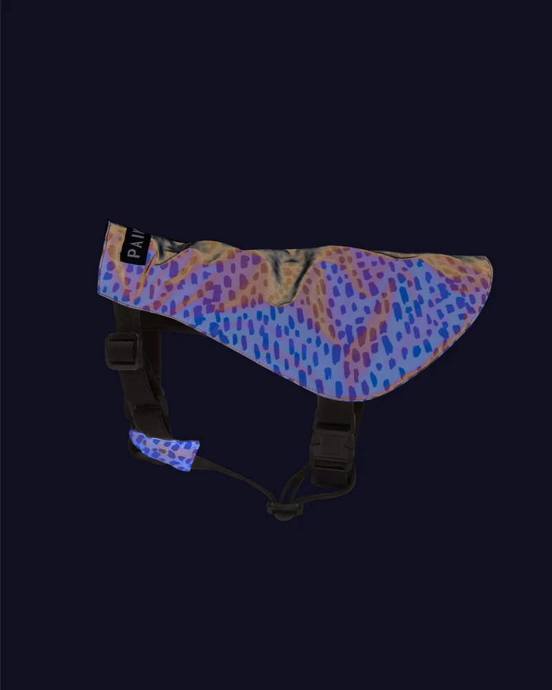 PAIKKA Glow in the Dark Y-Vest 2.0 for Dogs