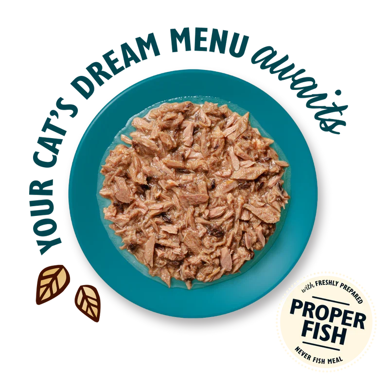 Lily’s Kitchen Shredded Fillets In Broth Tuna Wet Cat Food 70G