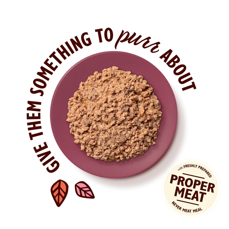 Lily’s Kitchen Smooth Pate Turkey with Venison Wet Cat Food 85G