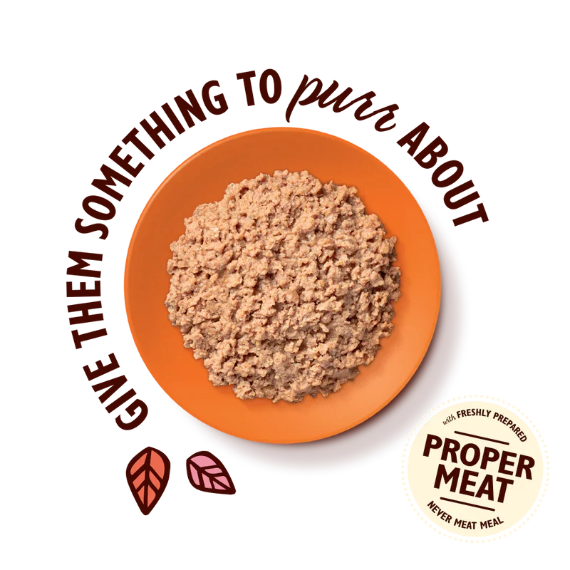 Lily’s Kitchen Smooth Pate Chicken with Cod Wet Cat Food 85G