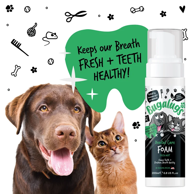 Bugalugs Dental Care Foam in Fresh Mint For Dogs & Cats 200ML