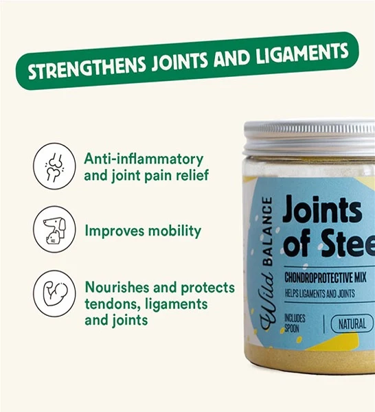 Wild Balance Joints of Steel Supplement for Dogs & Cats 100g
