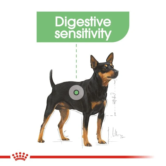 Royal Canin Digestive Care In Loaf Wet Dog Food 85G