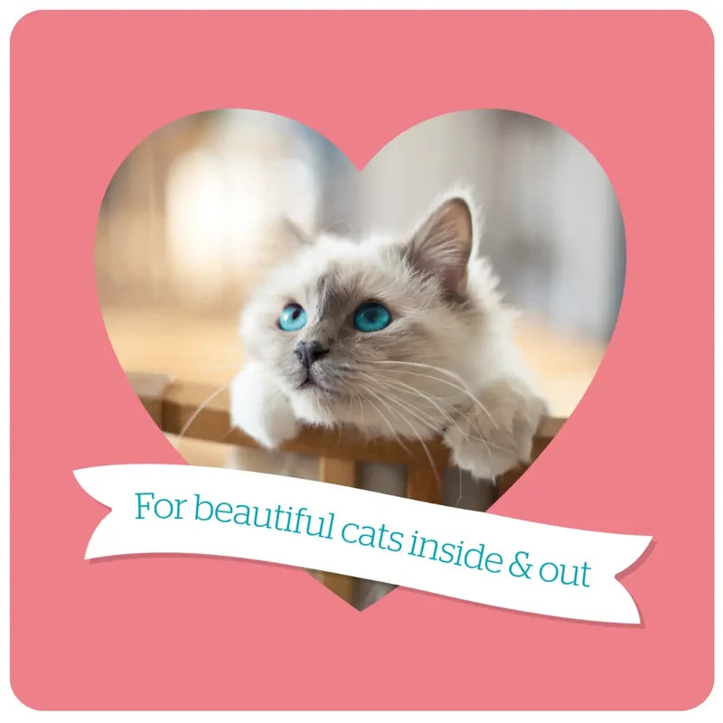 Burgess Neutered Cat Chicken Dry Cat Food 1.5KG - Pack Of 8