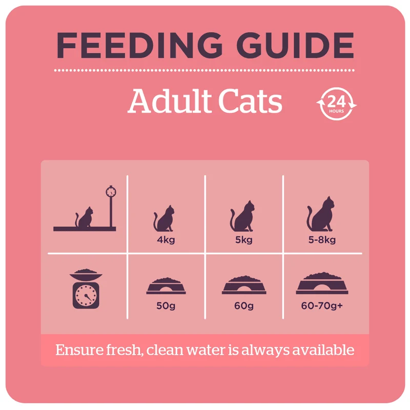 Burgess Complete Scottish Salmon Adult Cat Dry Food 1.5KG - Pack Of 8