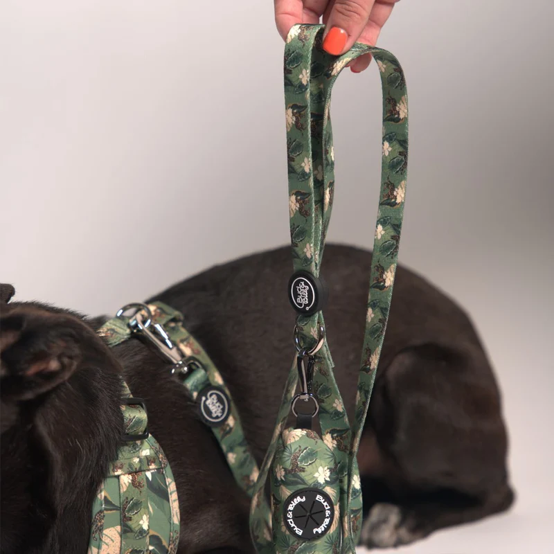 Bud & Billy Dog Strong & Durable Leash - Lightweight, 1.8 Meters (XS-L) Safari Collection, Lush Green Palette