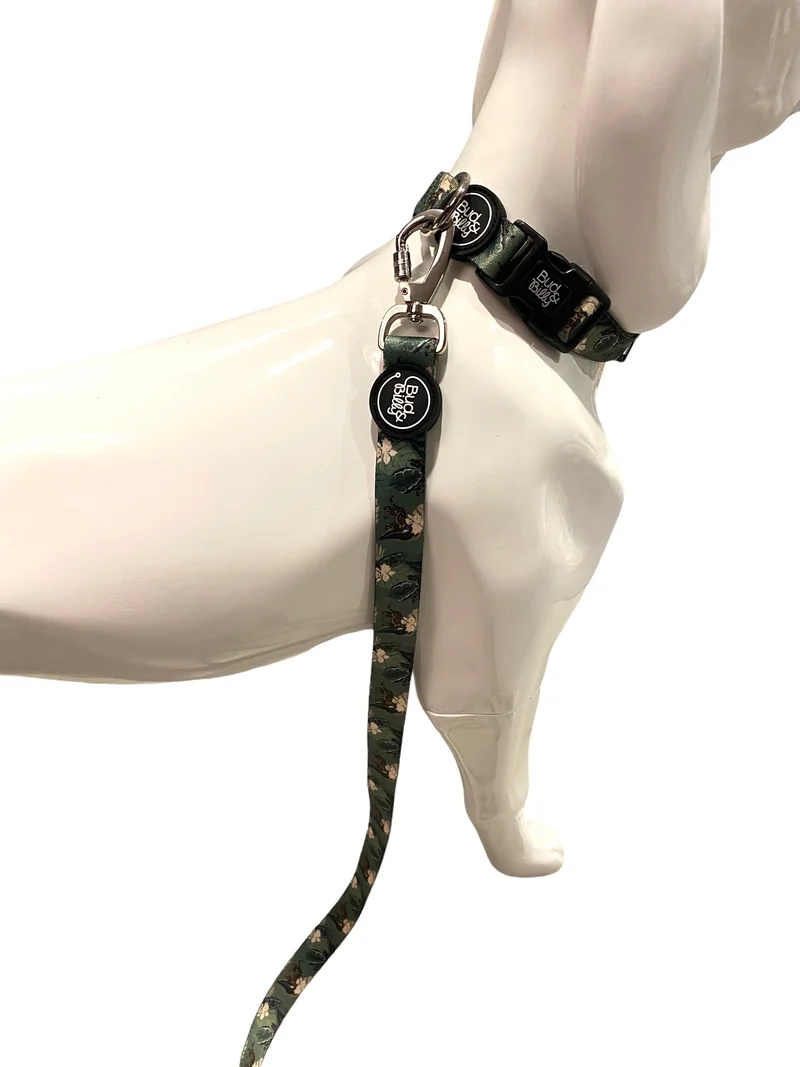 Bud & Billy Dog Collar (XXS-XL) - Safari Collection, Lush Green Palette
