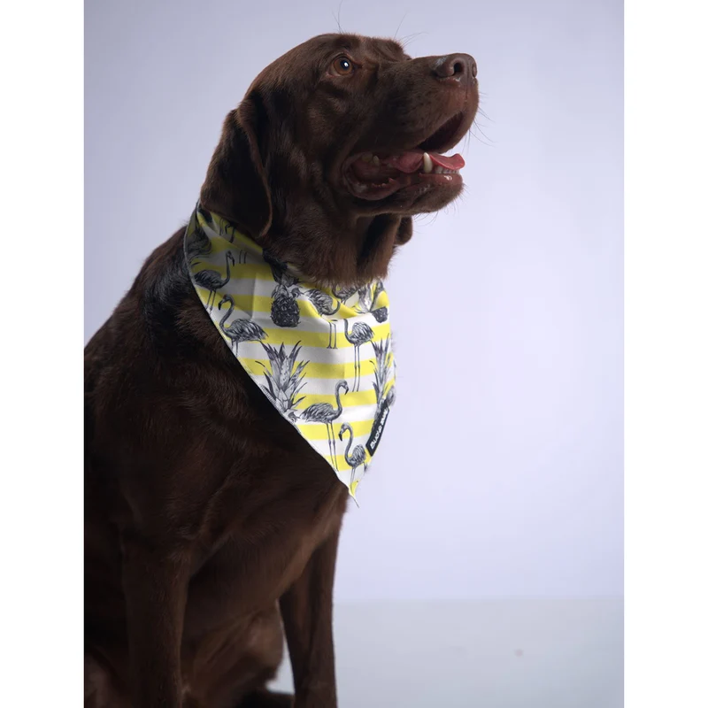Bud & Billy Dog Bandana Handkerchiefs and Scarves (S, M, L) - Flamingo Collection, Yellow & White Stripes
