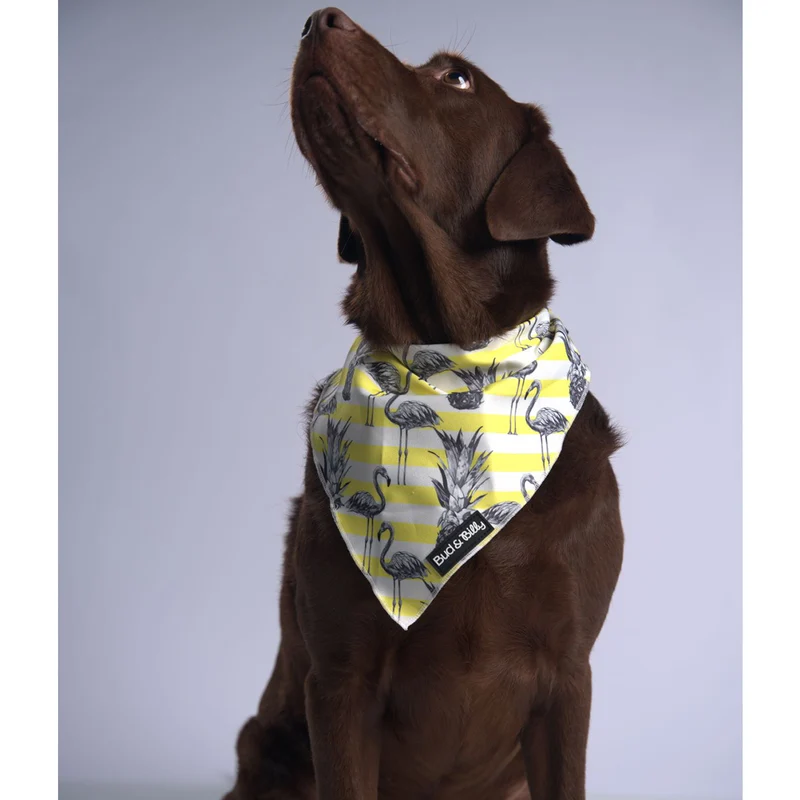 Bud & Billy Dog Bandana Handkerchiefs and Scarves (S, M, L) - Flamingo Collection, Yellow & White Stripes