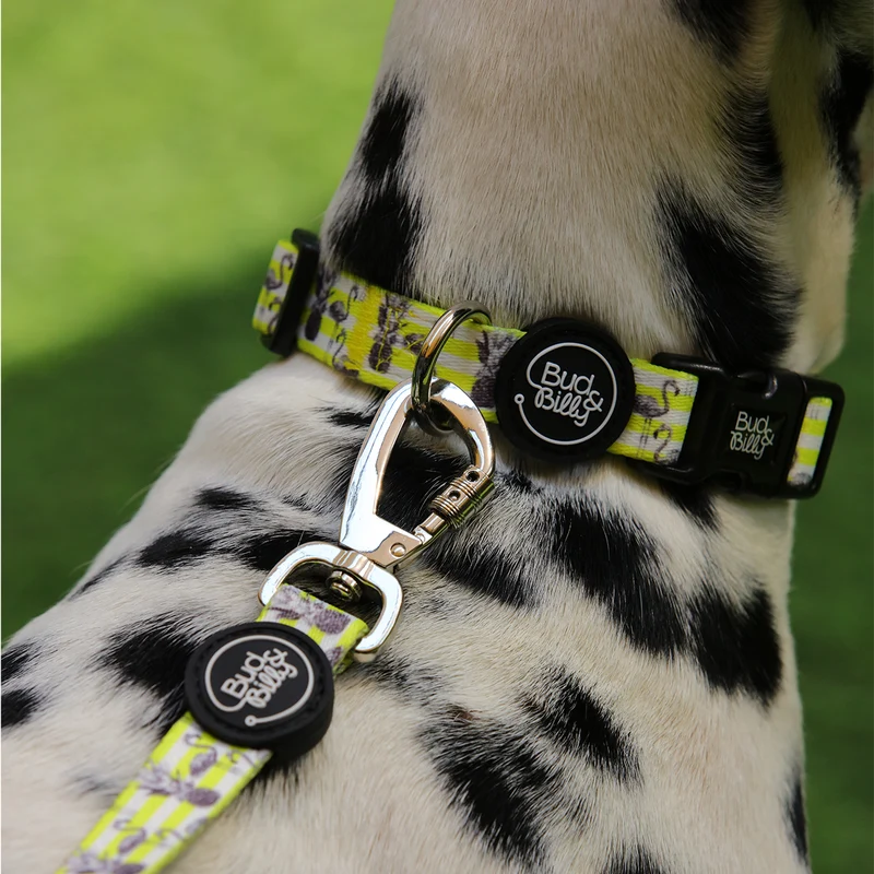 Bud & Billy Dog Collar (XXS-XL) - Flamingo Collection, Yellow & White Stripes