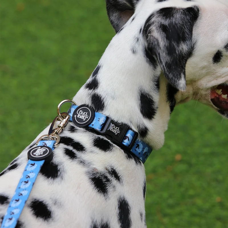 Bud & Billy Dog Collar (XXS-XL) - Counting Sheep Collection, Blue & White