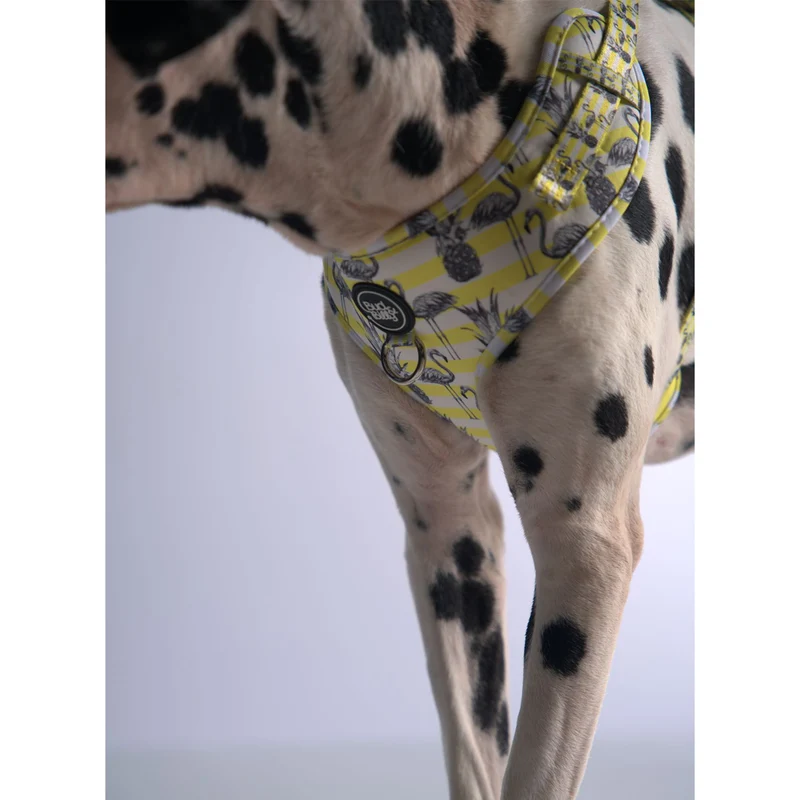 Bud & Billy Dog Harness Adjustable (XXS-XL) - Breathable Vest, Flamingo Collection, Yellow & White Stripes