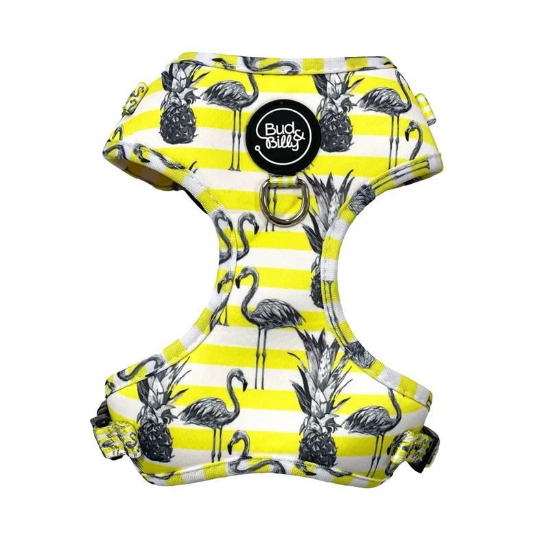 Bud & Billy Dog Harness Adjustable (XXS-XL) - Breathable Vest, Flamingo Collection, Yellow & White Stripes