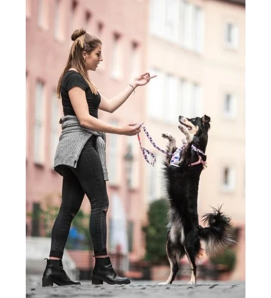 Gentle Pup Lovely Leia Dog Lead