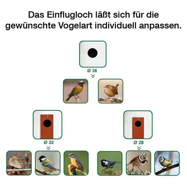 FOP Nistkasten Nido N02 - für Wildvögel, Außenbereich