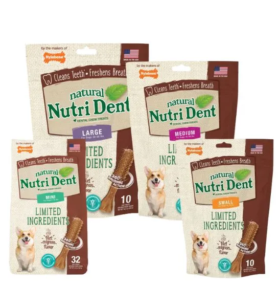 Nylabone Nutri Dent Filet Mignon Dental Dog Chews