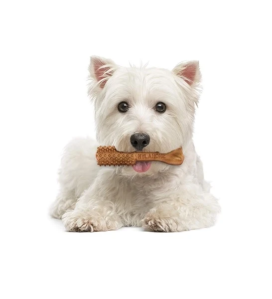 Nylabone Nutri Dent Filet Mignon Dental Dog Chews