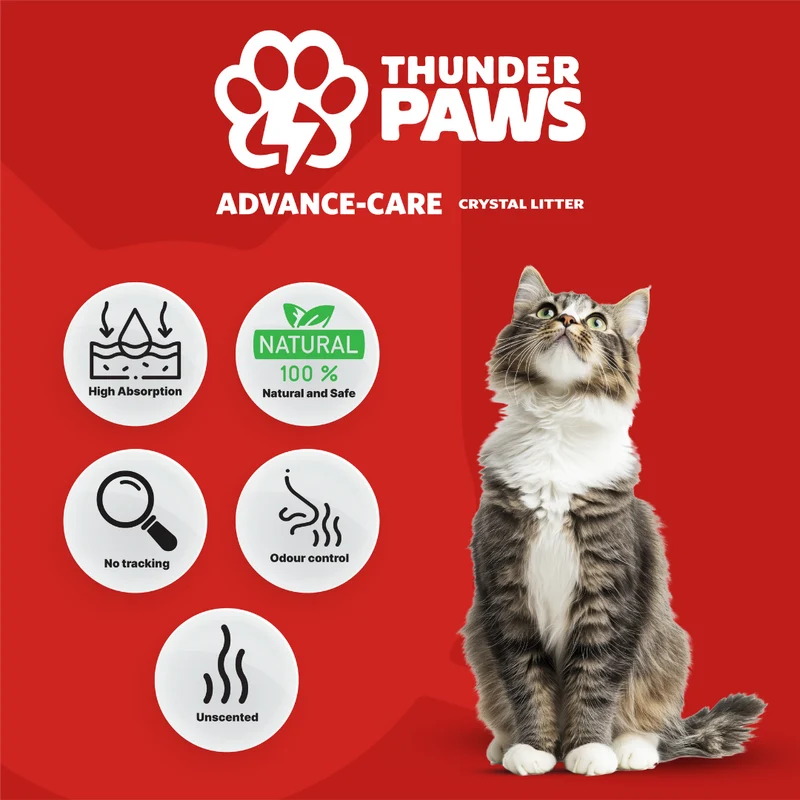 Thunder Paws Advance Care Non-Clumping Crystal Cat Litter Unscented 5+1 Liter FREE - Pack of 3