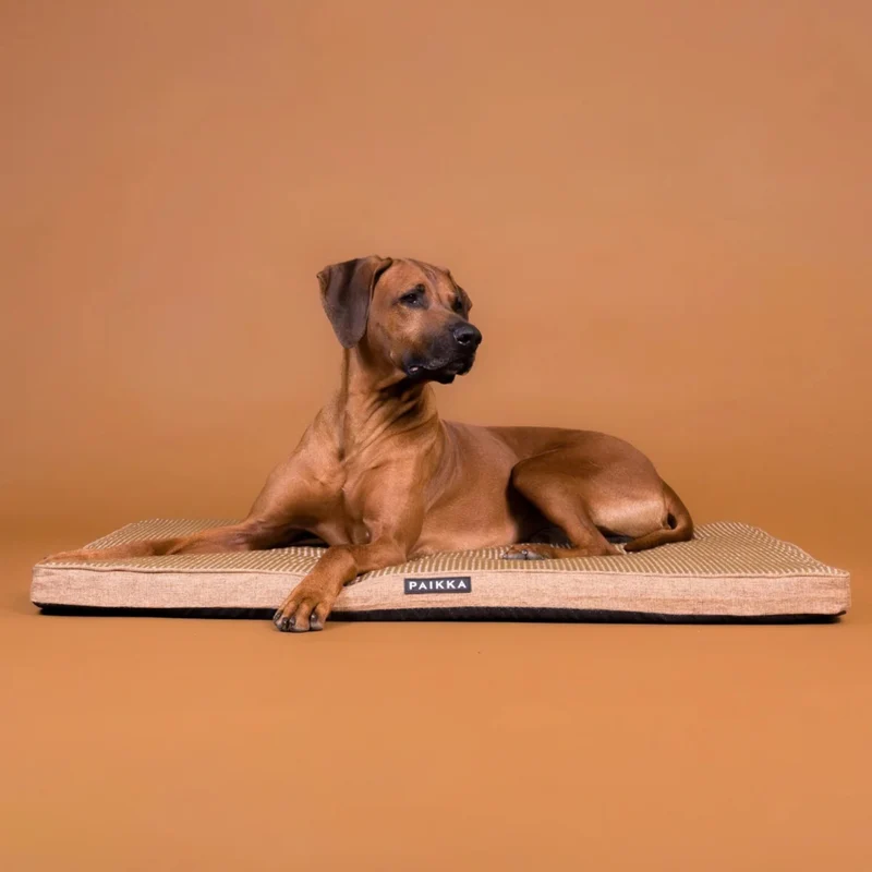 PAIKKA Cooling Orthopedic Dog Mattress With Memory Foam