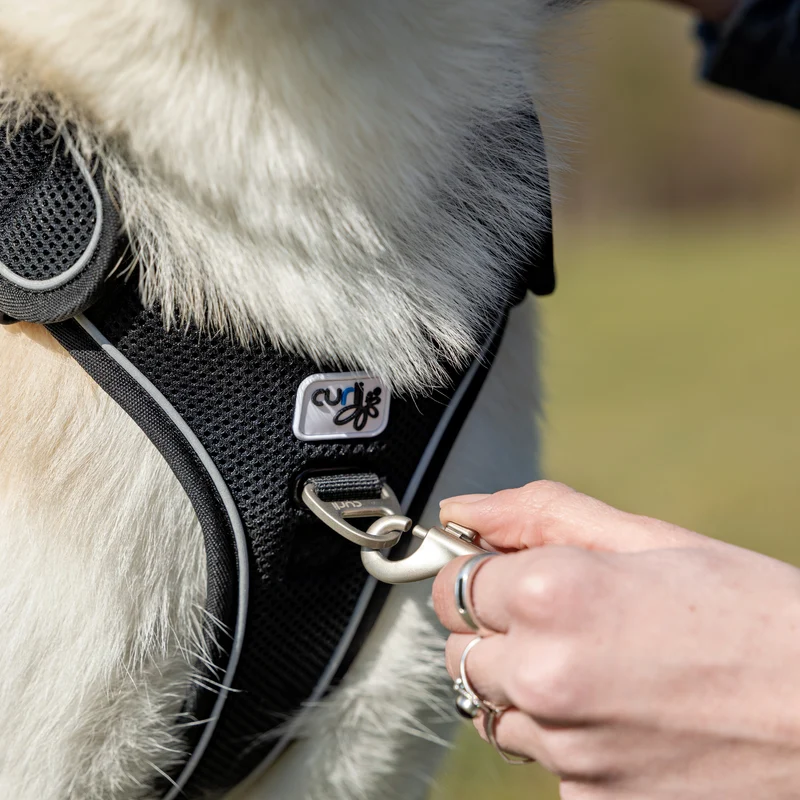 Curli Belka Large Dog Vest Harness - Adjustable Neck