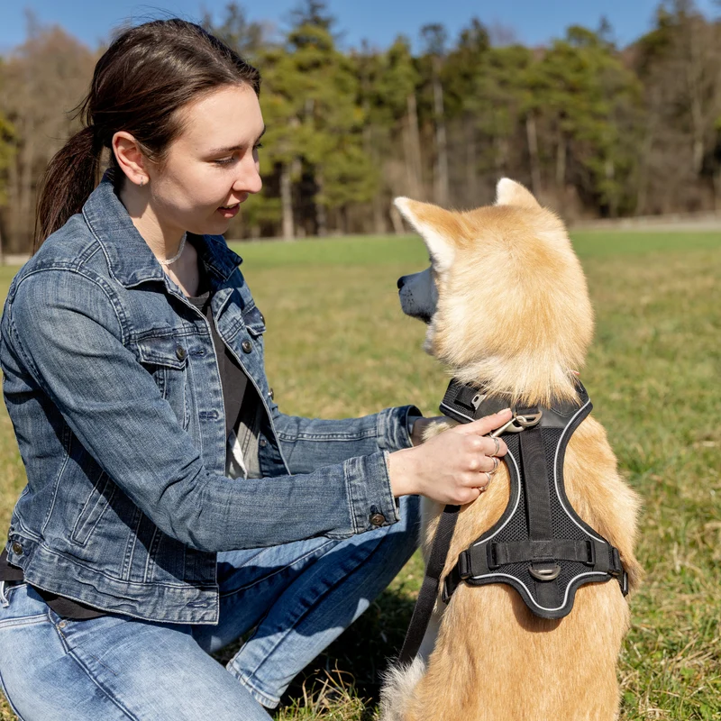Curli Belka Large Dog Vest Harness - Adjustable Neck