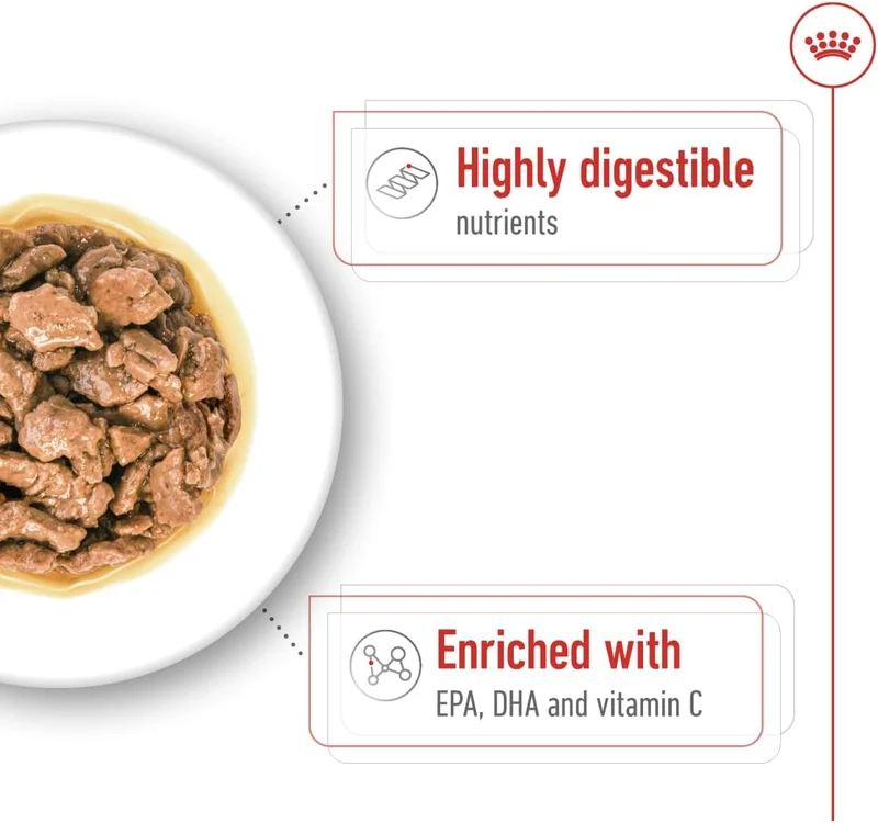 Royal Canin Mini Adult XS Adult Wet Dog Food In Gravy 85G