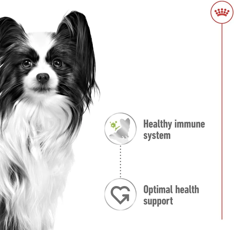 Royal Canin Mini Adult XS Adult Wet Dog Food In Gravy 85G