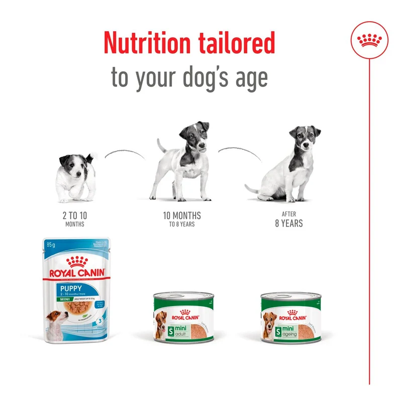 Royal Canin Mini Adult In Loaf Wet Dog Food In Can 195G