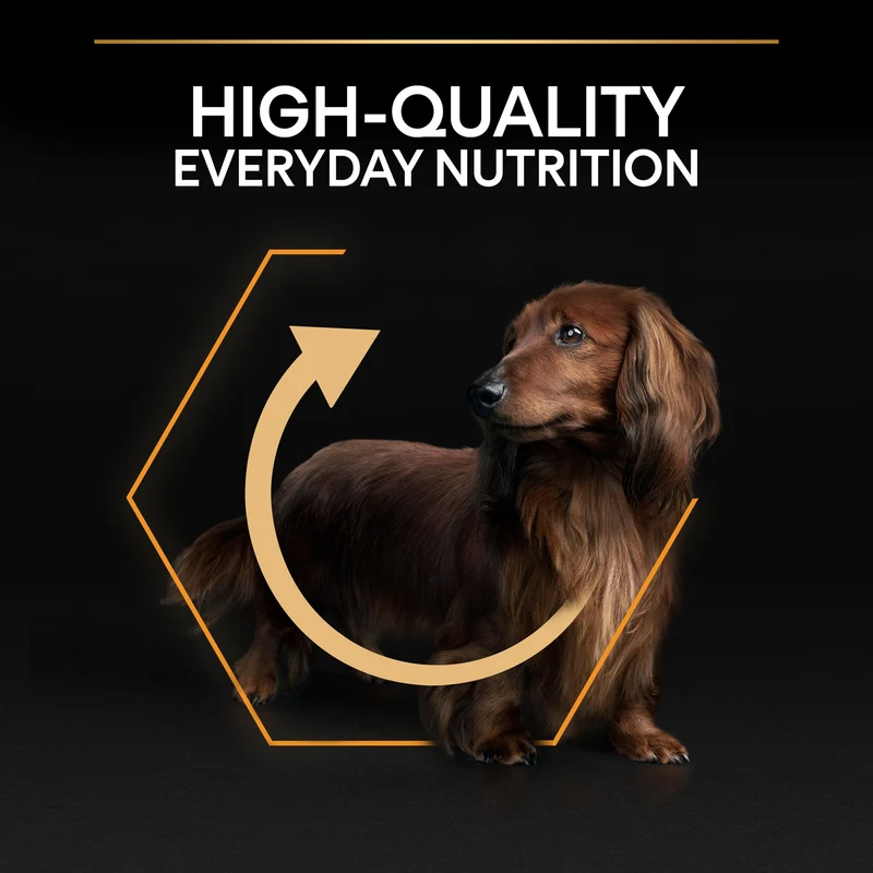 PURINA Pro Plan Small&Mini Adult Everyday Nutrition Chicken Adult Dry Dog Food 7KG