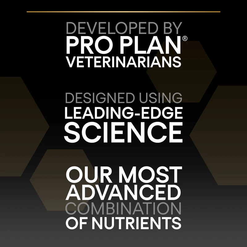 PURINA Pro Plan Small&Mini Adult Everyday Nutrition Chicken Adult Dry Dog Food 7KG