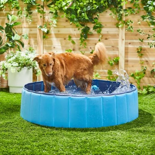 Trixie Non-Slip Scratch-Resistant Dog Pool