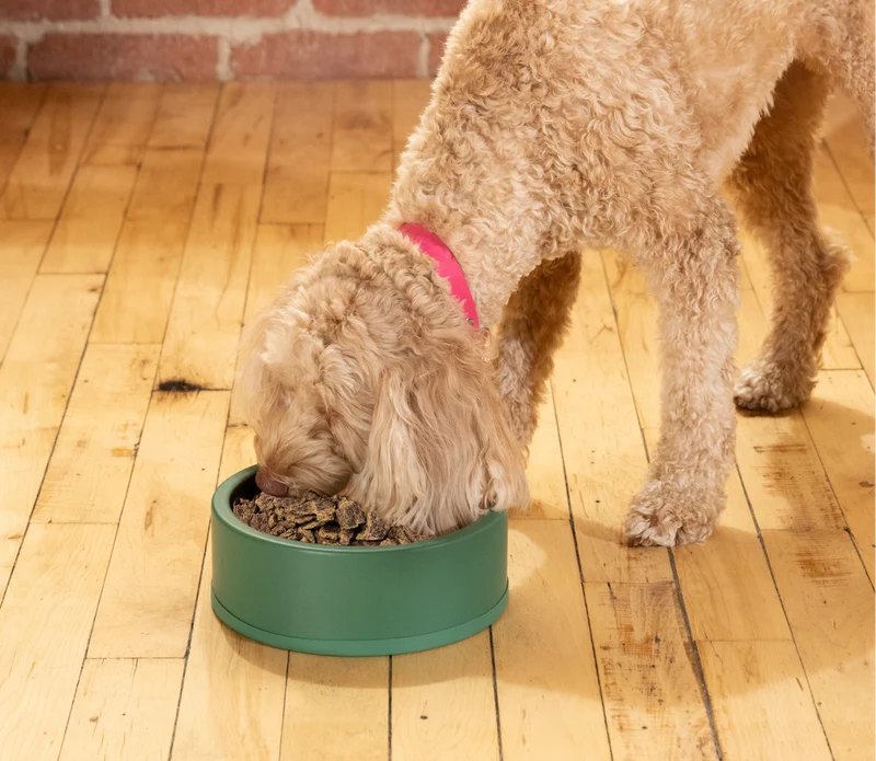 Open Farm Air Dried Alaskan Pollock & Lamb Recipe Dry Dog Food