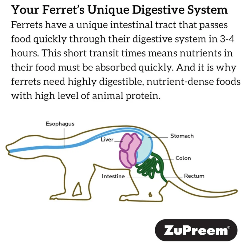 Zupreem Premium Ferret Diet Dry Food - No Corn 1.8Kg
