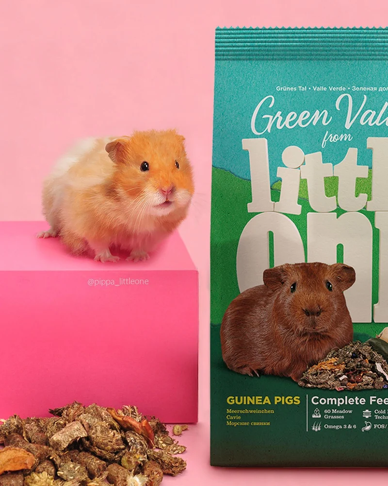 Little One Green Valley Fibre-Rich Comple Food For Guinea Pigs 750g