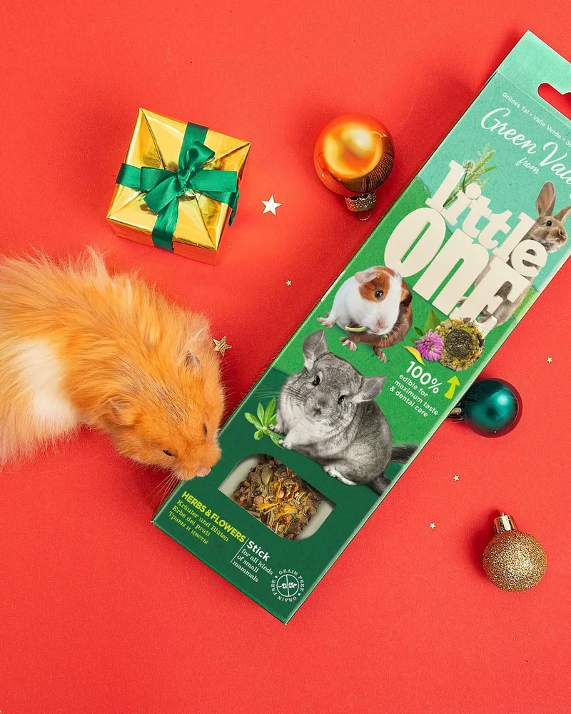 Little One Green Valley Grain-Free Food Stick With Herbs & Flowers Small Pets Treat 160g