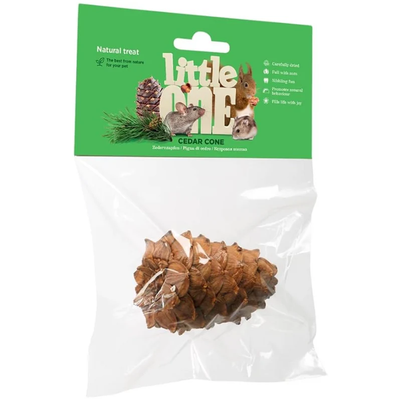Little One Cedar Cone Natural Treat For Small Pets 1pc