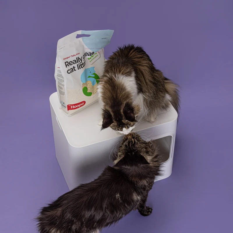 Hoopo Tofu Natural Fine Cat Litter | 7L, 17L