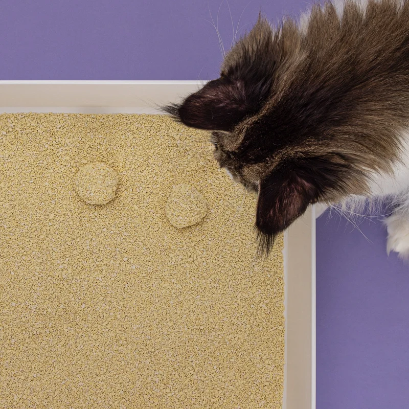 Hoopo Tofu Natural Fine Cat Litter | 7L, 17L