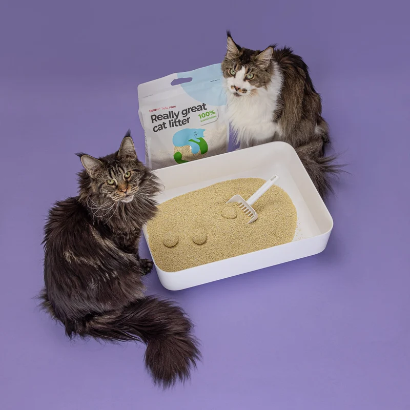 Hoopo Tofu Natural Fine Cat Litter | 7L, 17L