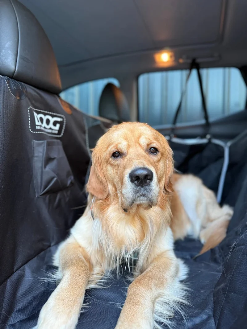 DOOG Dog Car Seat Cover | Rear Bench Seat | Large