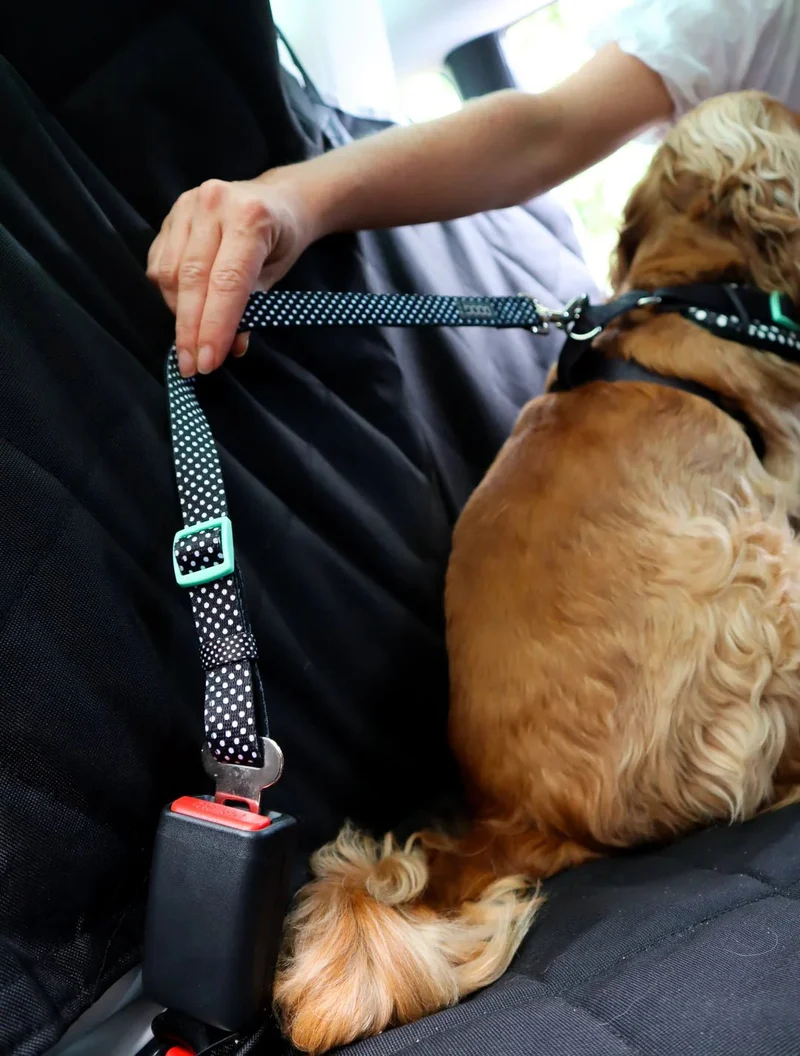 DOOG Dog Car Seat Cover | Rear Bench Seat | Large