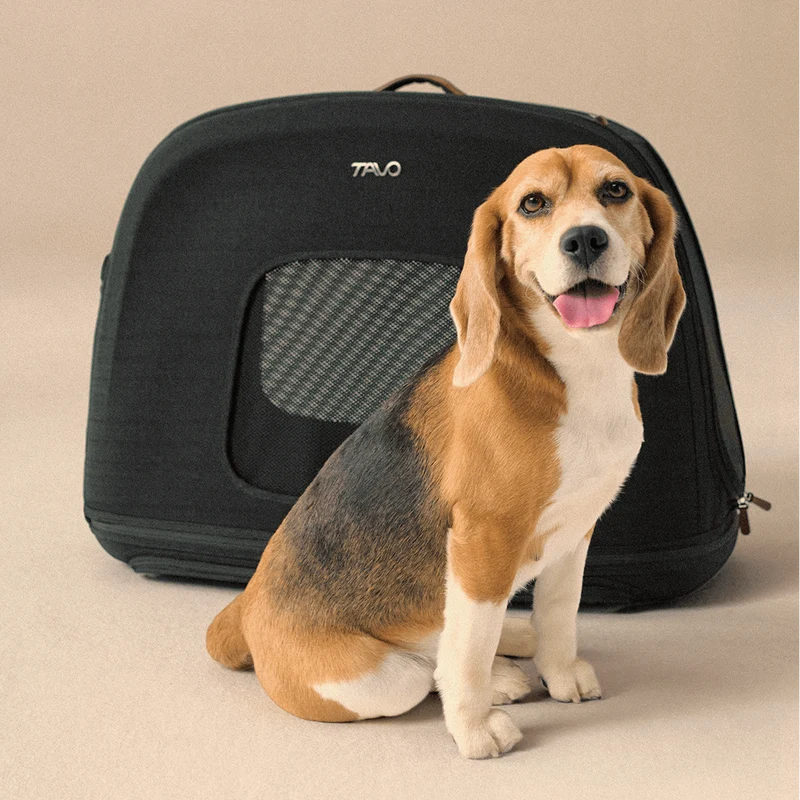 Tavo Pets Crispin Pet Travel Crate | Impact Tested | 3 Sizes